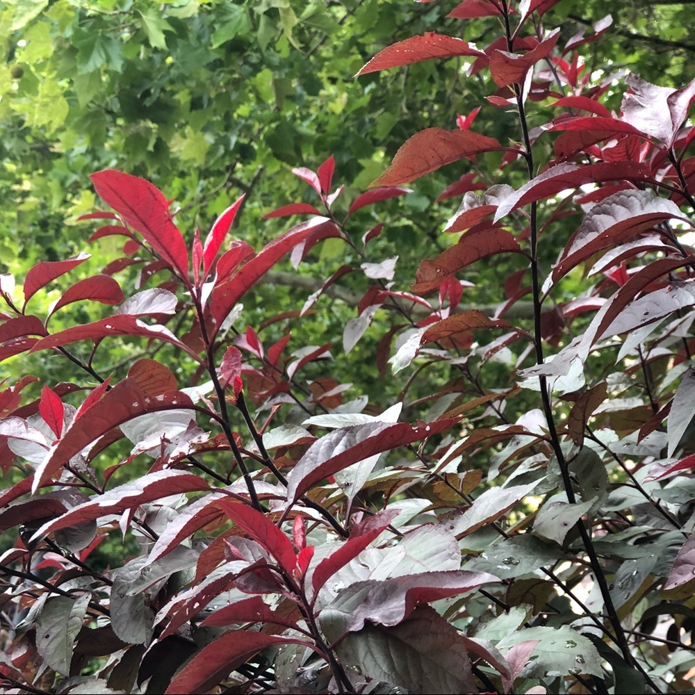 Meet your Posher, Gabby